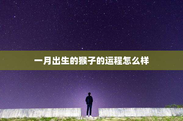 一月出生的猴子的运程怎么样