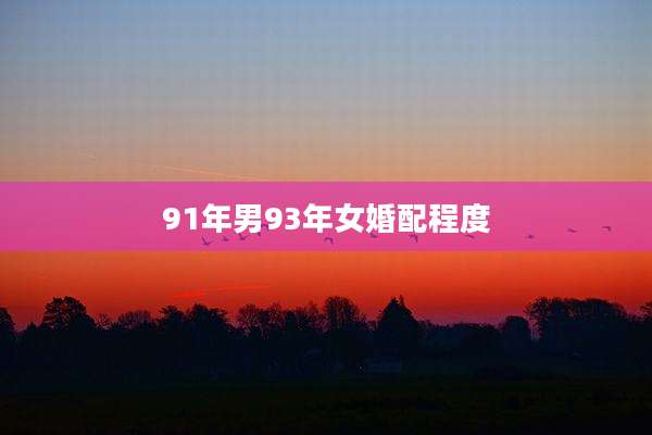 91年男93年女婚配程度