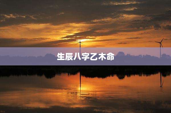生辰八字乙木命