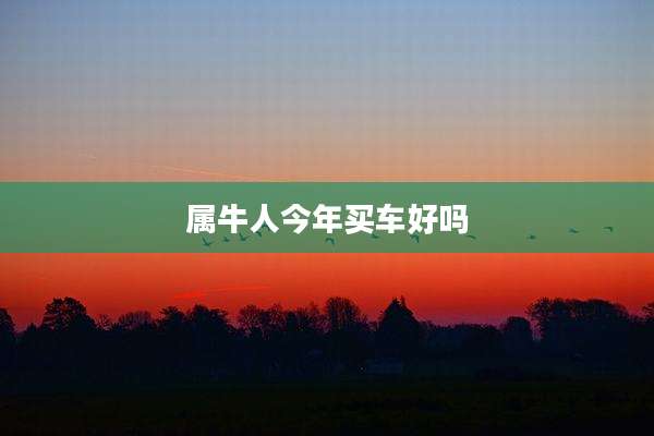 属牛人今年买车好吗