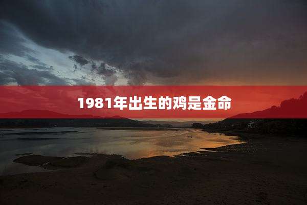 1981年出生的鸡是金命