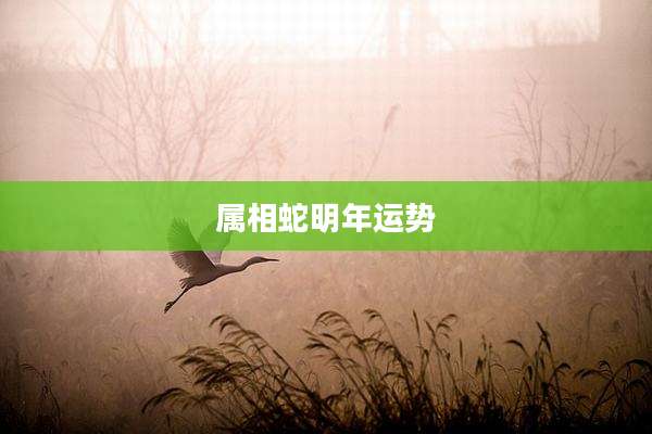 属相蛇明年运势