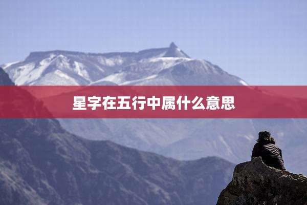 星字在五行中属什么意思