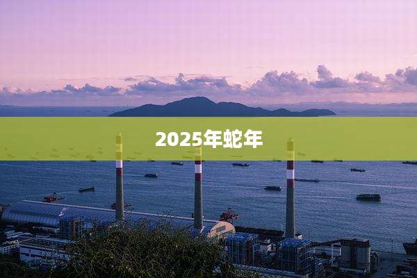 2025年蛇年
