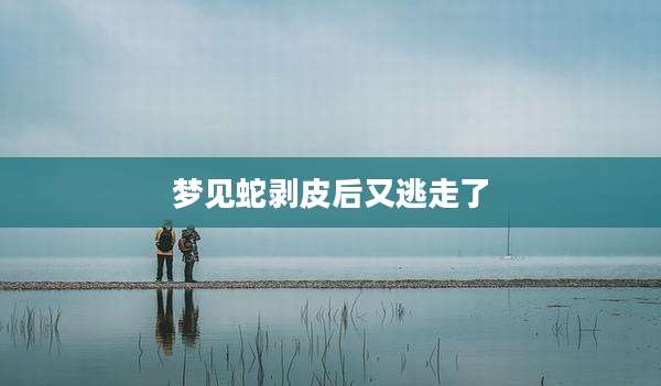 梦见蛇剥皮后又逃走了