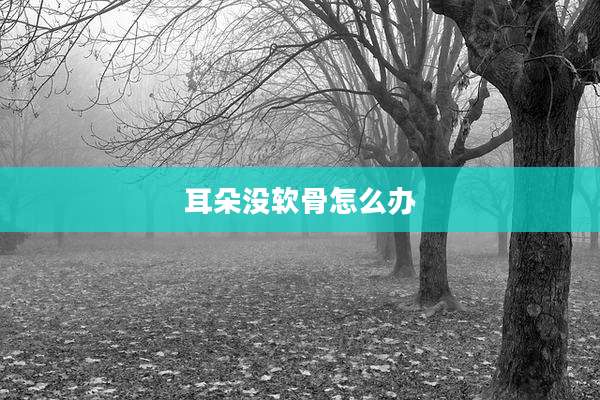 耳朵没软骨怎么办