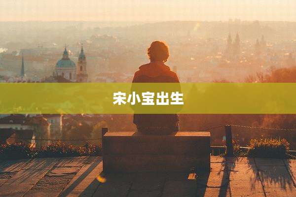 宋小宝出生