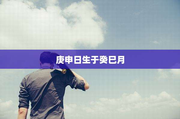 庚申日生于癸巳月