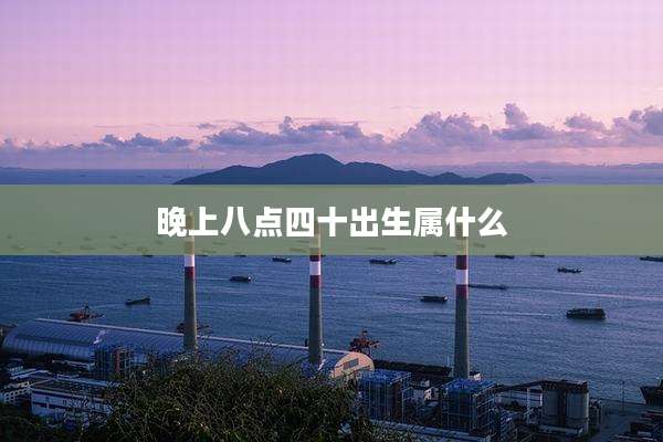 晚上八点四十出生属什么