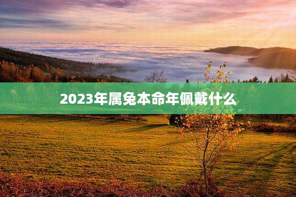 2023年属兔本命年佩戴什么