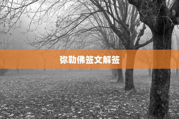 弥勒佛签文解签