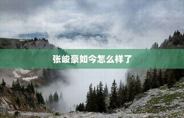 张峻豪如今怎么样了