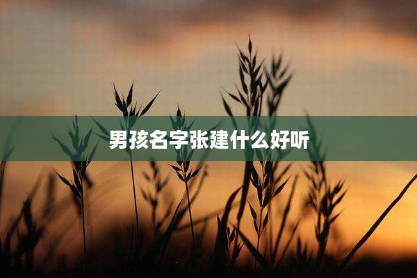 男孩名字张建什么好听