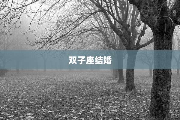双子座结婚