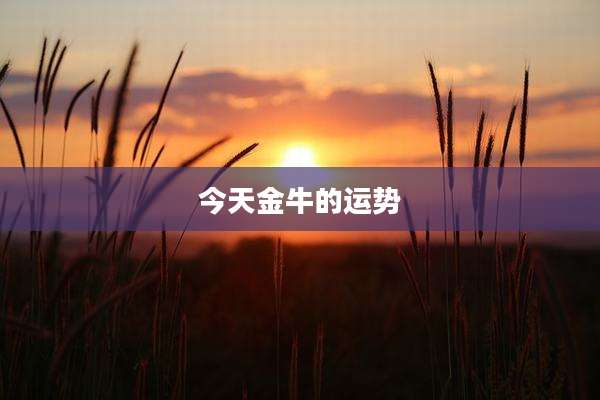 今天金牛的运势