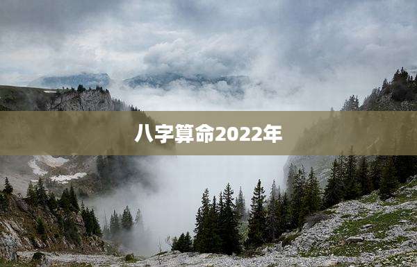 八字算命2022年