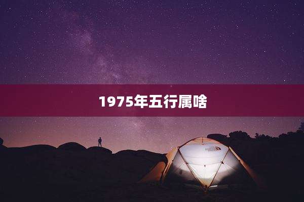 1975年五行属啥