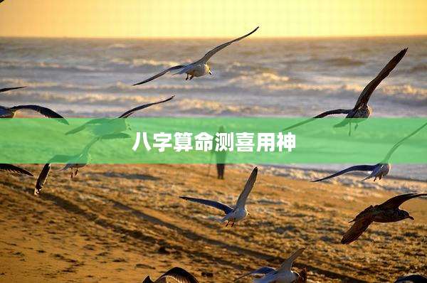八字算命测喜用神