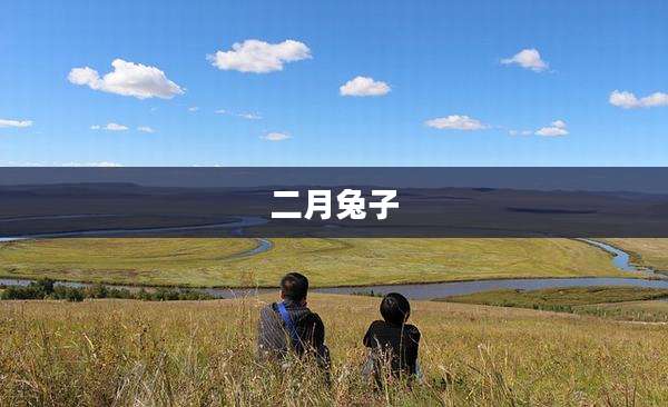 二月兔子