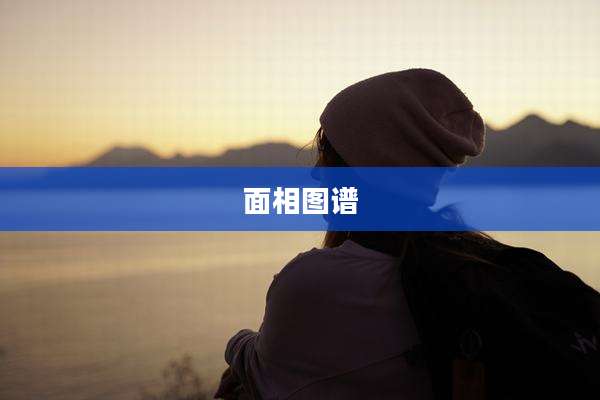 面相图谱