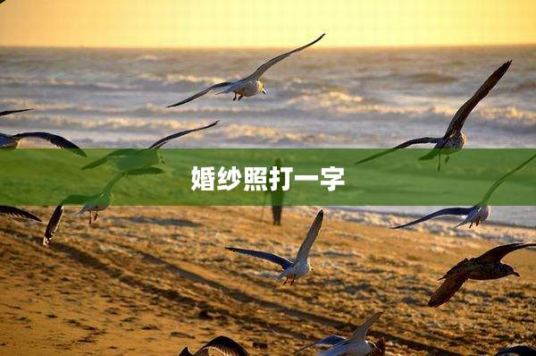 婚纱照打一字