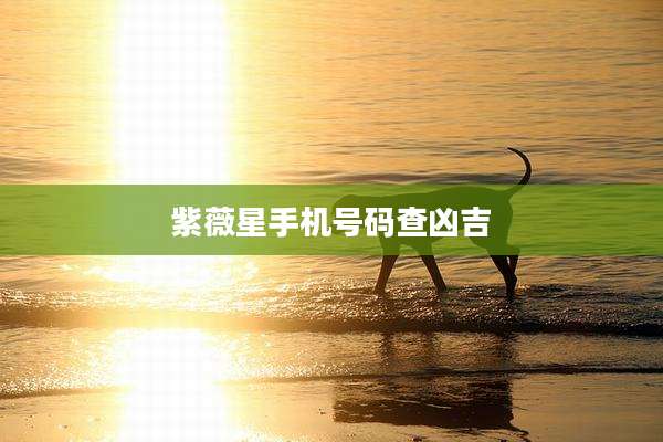 紫薇星手机号码查凶吉