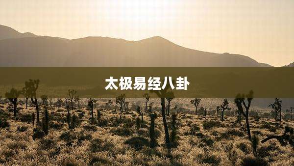 太极易经八卦