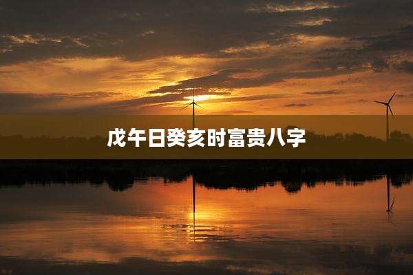 戊午日癸亥时富贵八字