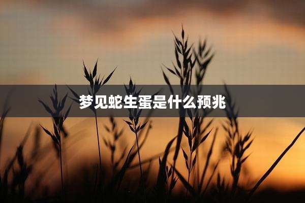 梦见蛇生蛋是什么预兆