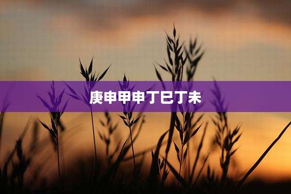 庚申甲申丁巳丁未