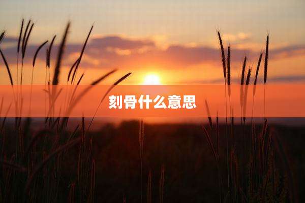 刻骨什么意思