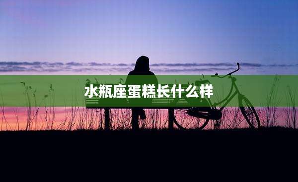 水瓶座蛋糕长什么样