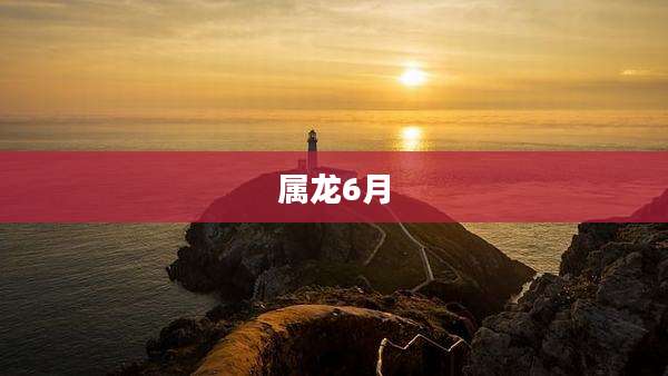 属龙6月