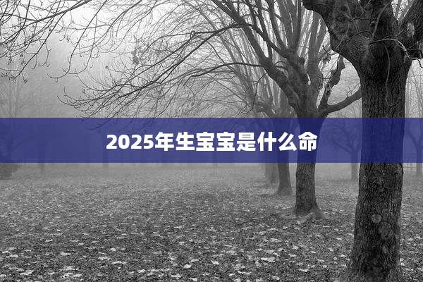 2025年生宝宝是什么命