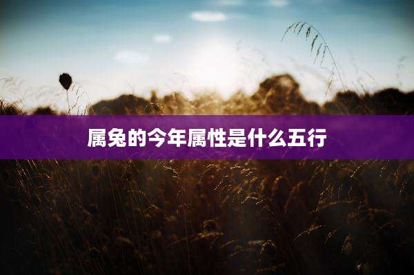 属兔的今年属性是什么五行