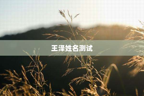 王泽姓名测试