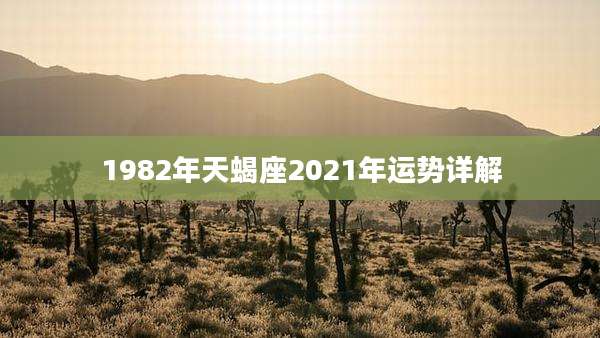 1982年天蝎座2021年运势详解