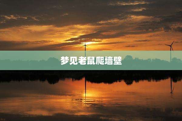 梦见老鼠爬墙壁