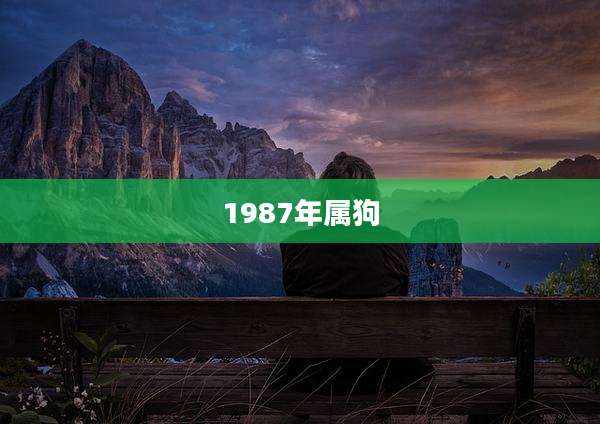 1987年属狗