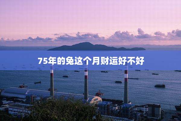 75年的兔这个月财运好不好