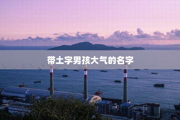 带土字男孩大气的名字