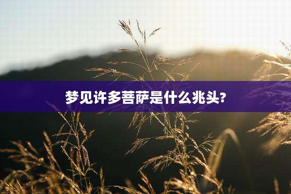 梦见许多菩萨是什么兆头?