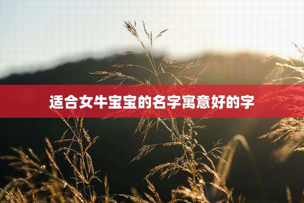 适合女牛宝宝的名字寓意好的字