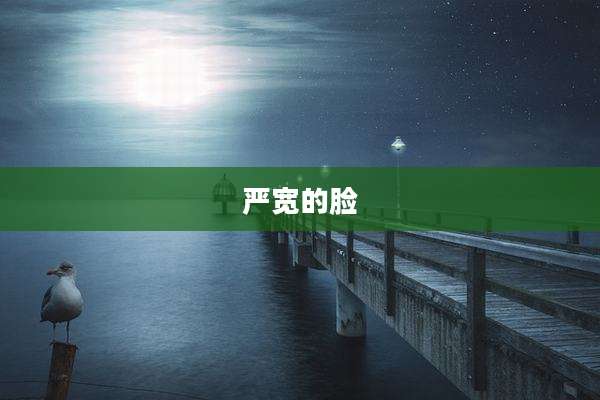 严宽的脸