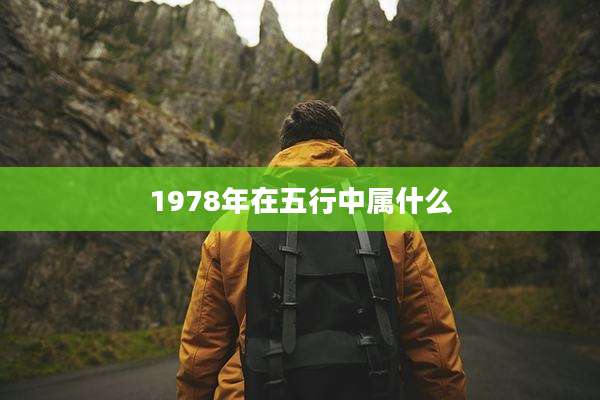 1978年在五行中属什么