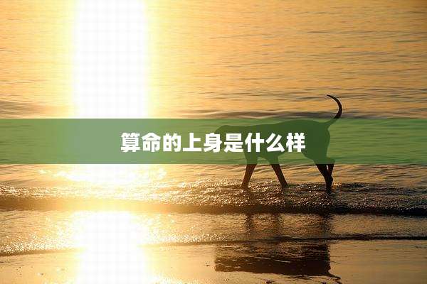 算命的上身是什么样
