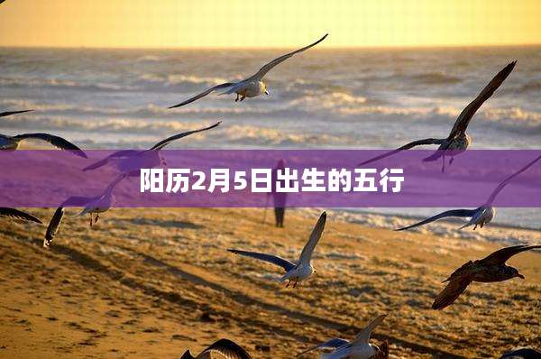 阳历2月5日出生的五行