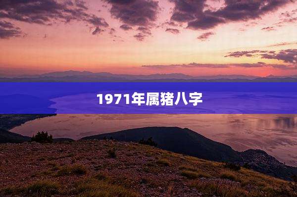 1971年属猪八字