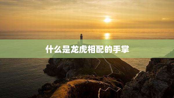什么是龙虎相配的手掌