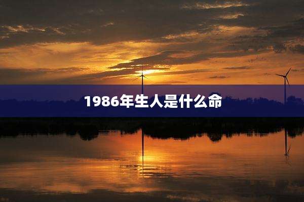 1986年生人是什么命